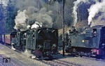 Die Begegnung der ehemaligen NWE 6 (99 6101 mit 99 5906) und NWE 7 (99 6102) war auch damals etwas besonders. Kreuzung der Züge P 14453 (links) und Gmp 69711 im Bahnhof Mägdesprung. (04.04.1977) <i>Foto: Joachim Bügel</i>
