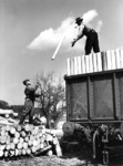 Und Hopp - Holzverladung auf einem unbekannten Bahnhof. (1934) <i>Foto: RVM</i>