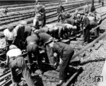 Einpassen von Ersatzschienen auf der Nordseite des Bahnhofs Berlin-Schönholz Richtung Oranienburg/Kremmen. (1940) <i>Foto: RVM (Ittenbach)</i>