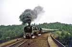 02 0201 und 01 2207 mit dem Sonderzug auf dem ehemals zweigleisigen Viadukt bei Waldheim. (12.06.1977) <i>Foto: Wolfgang Bügel</i>