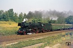 03 0059 mit dem D 319 "Saßnitz-Express" (Malmö - Berlin Ostbf) zwischen dem Biesdorfer Kreuz Süd und Wuhlheide/Abzw Rummelsburg. (28.08.1977) <i>Foto: Wolfgang Bügel</i>