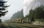 Durch den sich lichtenden Nebel schiebt 95 0024 einen beachtlichen Übergabezug nach Neuhaus am Rennweg aus dem Bahnhof Ernstthal. (19.09.1977) <i>Foto: Wolfgang Bügel</i>