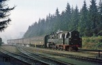 95 0043 fährt mit E 802 (Sonneberg - Leipzig) in den Bahnhof Ernstthal am Rennsteig ein. (19.09.1977) <i>Foto: Wolfgang Bügel</i>