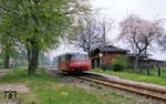 Laaske war einst der Sitz des Barons Eugen Gans Edler Herr zu Putlitz auf Laaske, des maßgeblichen Initiators des Prignitzer Kleinbahnnetzes. Die einstige Haltestelle in km 12,45 verfügte früher über ein dreifach angebundenes Ladegleis mit vier Weichen, ein verklinkertes Stationsgebäude, einen 35 m langen Bahnsteig, eine Ladestraße mit Fuhrwerkswaage, ein Wärter- und Waschhaus, einen Stall, einen Güter-, Draisinen- und Geräteschuppen sowie einen Personalraum. Die lange Zeit von der Ehefrau des Streckenmeisters betreute Haltestelle wurde in den 1960er Jahren nach der Demontage des Nebengleises in einen Haltepunkt umgewandelt. Das zuletzt sehr verfallene Stationsgebäude verschwand um das Jahr 2000. Hier pendelt 171 003 auf der Putlitzer Strecke, auf der damals zwischen 5.59 Uhr und 21.22 Uhr noch fünf Zugpaare verkehrten. Der 1962 in Bautzen gebaute ursprüngliche VT 2.09.003 war das erste Serienfahrzeug der seinerzeit neu entwickelten Leichttriebwagengeneration, heute steht er im Gramzower Eisenbahnmuseum.  (23.04.1991) <i>Foto: Regine Kenning</i>