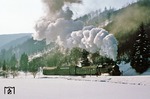 Nachdem die Sonderzugteilnehmer ihre warmen Plätze wieder eingenommen hatten, musste 94 1292 auf dem ehemaligen Zahnstangenabschnitt zwischen Thomasmühle und Schmiedefeld richtig aufdrehen. (18.02.1978) <i>Foto: Wolfgang Bügel</i>