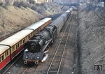 Die beiden Stralsunder 03 0010 und 03 0074 waren die beiden einzigen DR 03.10, die noch mit dem klassischen Oberflächenvorwärmer ausgerüstet waren. Hier begegnet 03 0010-3 (03 1010) vor D 814 einem S-Bahnzug an der Schönhauser Allee in Berlin. (04.04.1979) <i>Foto: Peter Schiffer</i>
