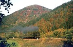 Der letzte Fotopunkt vor dem Sperrgebiet befand sich vor Marktgölitz. 95 0040 fährt gerade mit P 18005 an dem ständig Halt zeigenden ehemaligen Einfahrsignal vorbei. (12.10.1977) <i>Foto: Wolfgang Bügel</i>