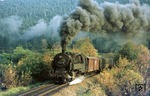 95 0014 mit P 18005 nach Sonneberg bei Gebersdorf. Nächster Halt ist Lippelsdorf. (13.10.1977) <i>Foto: Wolfgang Bügel</i>