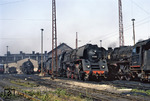 Im Bw Erfurt P haben sich neben der hier stationierten 01 505 in der Bildmitte noch die Erfurter 22 002 (rechts) und 93 575 aus Gotha gesellt. (04.08.1967) <i>Foto: Robin Fell</i>