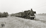 38 2514 (Bw Aschersleben) mit P 651 (Aschersleben – Dessau) zwischen Mosigkau und Alten. (15.06.1968) <i>Foto: Hans-Joachim Simon (Archiv Ludger Kenning)</i>