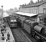 Im Bahnhof Greifswald ist ein Lokzug mit den konservierten Z-Loks 01 0510, 01 0513, 01 0517 und 01 0519 aus Saalfeld (Saale) eingetroffen. Sie werden hier stationär als Heizloks in der Greifswalder Brauerei des VEB Getränkekombinat "HANSEAT" Rostock aufgestellt. Am Bahnsteig 3 läuft derweil die Pasewalker 132 253 mit einem Schnellzug nach Berlin ein. (23.10.1982) <i>Foto: Joachim Schmidt</i>