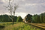 An den Fischteichen von Erichshagen vorbei, rollt 01 0535 mit D 517 dem nächsten Halt in Angermünde entgegen. (12.09.1978) <i>Foto: Joachim Bügel</i>
