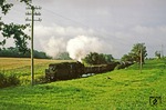 Morgens um 7 Uhr ist die ölgefeuerte 50 0035 mit einem Güterzug bei Greiffenberg (nahe Angermünde) unterwegs. (13.09.1978) <i>Foto: Joachim Bügel</i>