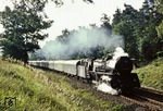 03 0080 vor D 510 bei Görlsdorf, nördlich von Angermünde.  (13.09.1978) <i>Foto: Joachim Bügel</i>