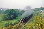 Eine leicht gestutze Baumkrone ermöglichte diesen Blick auf die bergfahrende 01 0529 vor E 802 bei Unterwellenborn. (07.10.1978) <i>Foto: Wolfgang Bügel</i>