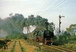 Nach dem Kopfmachen in Wegeleben dampft 01 2114 nunmehr wieder vorwärts mit P 19434 zurück nach Thale. (11.10.1978) <i>Foto: Wolfgang Bügel</i>
