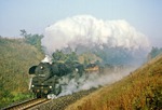 Kurz vor Ronneburg kämpft sich 58 3003 mit einem Güterzug aus Gera die Steigung hinauf. (13.10.1978) <i>Foto: Wolfgang Bügel</i>