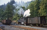 99 5903 macht sich bei Rangierarbeiten im Bahnhof Alexisbad nützlich. (23.08.1970) <i>Foto: Robin Fell</i>