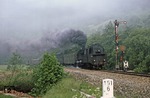 Im Sommerfahrplan 1980 kam die Baureihe 95 nur noch sporadisch zum Einsatz, nämlich wenn eine der neu angelieferten rumänischen "U-Boote" (Baureihe 119) mal wieder streikte. An einem nebligen Sommermorgen konnte so zufällig 95 0045 mit P 18002 aus Sonneberg bei Hockeroda erwischt werden. (06.06.1980) <i>Foto: Wolfgang Bügel</i>