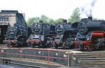 Im Bw Glauchau (Sachs) zeigen sich 86 001 (Bw Aue), 62 015 (Bw Dresden), 50 2407 und 58 3049 (beide Bw Glauchau) dem Publikum. (07.06.1980) <i>Foto: Wolfgang Bügel</i>