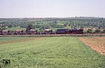 Der Gipszug Gag 56405 von Niedersachswerfen nach Coswig mit 44 0687 bei Sangerhausen. (01.06.1979) <i>Foto: Joachim Bügel</i>