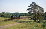 Die in Stralsund stationierte 03 0090 zieht den D 914 durch die märkischen Kiefernwälder von Warnitz (zwischen Angermünde und Prenzlau). (04.06.1979) <i>Foto: Joachim Bügel</i>