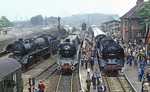 Lokparade anlässlich des 100-jährigen Jubiläums der Strecke Berlin - Belzig - Blankenheim, der sogenannten "Kanonenbahn", im Bahnhof Belzig. (09.06.1979) <i>Foto: Joachim Bügel</i>