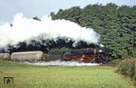 Die ölgefeuerte 50 0016 (Umbau aus 50 3587, ex 50 1517) mit einem Flüssiggaszug bei Kloster Chorin. (16.09.1979) <i>Foto: Wolfgang Bügel</i>