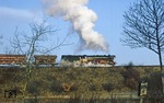 Ein letzter Blick auf die vor der Einfahrt von Klostermansfeld anfahrende 44 0546. (24.12.1979) <i>Foto: Joachim Bügel</i>