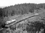 DR 131 034 rollt mit D 1450 (Chemnitz - Köln) auf der 13 km langen Neubaustrecke Förtha - Gerstungen bei Unterellen dem Grenzbahnhof Gerstungen entgegen. Solche Fotos aus der Sperrzone unmittelbar an der Grenze stellen eine absolute Rarität dar, wurden diese Bereiche doch besonders sensibel überwacht, um jede Art von Fluchtversuchen oder deren Anschein zu unterbinden. (16.06.1973) <i>Foto: Slg. Erich Preuß</i>