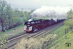 01 0522 dampft mit P 3003 durch die blühende Landschaft am Saaleufer nahe Remschütz dem Reiseziel in Saalfeld entgegen. (18.04.1981) <i>Foto: Wolfgang Bügel</i>