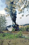 Die Obstbäume der Kleingärtner in Gera-Zwötzen stehen in voller Blüte. 01 0517 sorgt vor P 3025 nach Saalfeld (Saale) für zusätzliches Aroma in der Luft.  (18.04.1981) <i>Foto: Wolfgang Bügel</i>