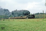 Kurz vor Eisfeld macht 95 0027 mit Dg 54445 nochmals kräftig Dampf. (20.04.1981) <i>Foto: Wolfgang Bügel</i>
