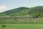 95 0027 im Rottenbachtal zwischen Milbitz und Rottenbach. (28.05.1981) <i>Foto: Wolfgang Bügel</i>