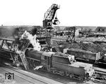 52 2544 ergänzt ihre Kohlenvorräte unter der Großbekohlungsanlage im heimatlichen Bw Seddin. Die 1943 von Henschel in Kassel gebaute Lok wurde 1969 beim Bw Frankfurt (Oder) ausgemustert.  (1960) <i>Foto: Gerhard Illner</i>