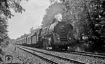 01 525 (Bw Wittenberge) vor D 163 aus Hamburg im Düppeler Forst bei Berlin-Kohlhasenbrück.  (27.07.1968) <i>Foto: Burkhard Wollny</i>