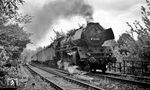 03 096 vor D 111 aus Köln bei Berlin-Wannsee. (24.07.1968) <i>Foto: Burkhard Wollny</i>