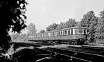Ein S-Bahnzug (ET 276 045) im Berliner Grunewald.  (02.06.1972) <i>Foto: Burkhard Wollny</i>