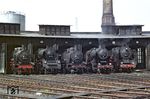 Im Bw Leipzig Hbf West haben sich 01 005 (nebenbei die dienstälteste 01 der DR), 52 545, 38 2072, 23 1088 und 38 3348 versammelt. (09.08.1967) <i>Foto: J. R. Broughton</i>