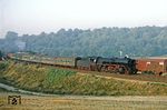 41 1303 mit P 3222 (Sangerhausen - Wittenberg) bei Sandersleben. Die am Zugschluss kräftig nachschiebende 120 verhinderte leider eine schöne Dampffahne am frühen Morgen. (12.08.1982) <i>Foto: Joachim Bügel</i>