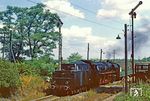 41 1159 an der Blockstelle mit Haltepunkt Klieken zwischen Roßlau und Coswig (Anh) mit P 3496 nach Köthen. (14.08.1982) <i>Foto: Joachim Bügel</i>