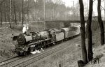 03 2058 des Bw Lutherstadt Wittenberg im Personenzugdienst nach Berlin, aufgenommen nordöstlich von Wittenberg zwischen Bülzig und Zahna.  (13.04.1979) <i>Foto: Ludger Kenning</i>