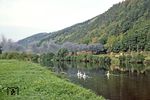 Unbeeindruckt von einer Schwanenfamilie auf der Saale kommt 41 1180 mit Ng 66474 bei Uhlstädt angeräuchert. (25.09.1982) <i>Foto: Wolfgang Bügel</i>
