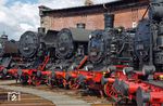 Lokparade vor dem Ringlokschuppen u.a. mit 75 515, 38 205, 44 1338 und 43 001. (21.08.2016) <i>Foto: Andreas Höfig</i>