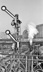 Ausfahrt frei für 01 0503 (Bw Wittenberge) vor D 401 nach Berlin.  (07.10.1972) <i>Foto: Dr. Thomas Obst</i>