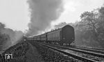 01 0502 entschwindet mit D 401 nach Berlin im Sachsenwald bei Friedrichsruh. Nächster Halt wird um 8.50 Uhr Büchen sein.  (08.10.1972) <i>Foto: Dr. Thomas Obst</i>