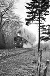 01 0257 durchbricht mit D 401 nach Berlin die Ruhe des Sachsenwalds bei Friedrichsruh.  (15.10.1972) <i>Foto: Dr. Thomas Obst</i>
