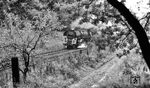 Auf dem Weg nach Dresden befindet sich 01 0502 mit D 405 im Sachsenwald bei Friedrichsruh. (15.10.1972) <i>Foto: Dr. Thomas Obst</i>