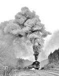Mit Volldampf geht's für 01 0526 vor D 207 (Frankfurt/M - Warschau) die Steigung nach Hönebach hinauf. (20.04.1973) <i>Foto: Dieter Kempf</i>