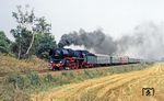 03 1010 mit einem Sonderzug bei Wallhausen (Helme), westlich von Sangerhausen. (27.08.1983) <i>Foto: Wolfgang Bügel</i>